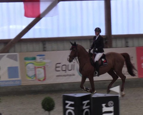 Nordic Jumping events 2019