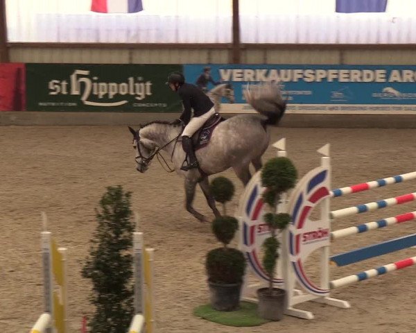 Nordic Jumping events 2019