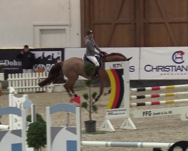 Nordic Jumping events 2019