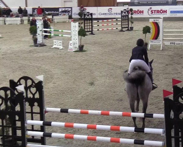 Nordic Jumping events 2019