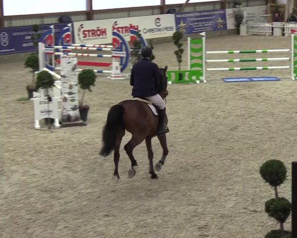 Nordic Jumping events 2019