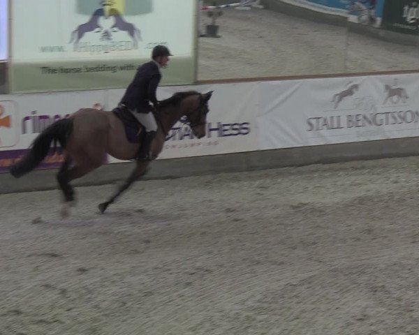 Nordic Jumping events 2019