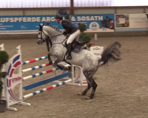 Nordic Jumping events 2019