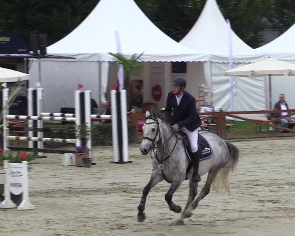 Equus Colonius - Reitanlage Brüse Köln 2021