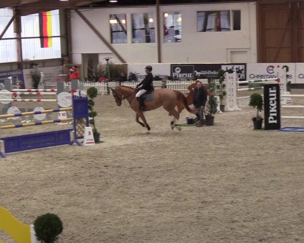 Nordic Jumping events 2019