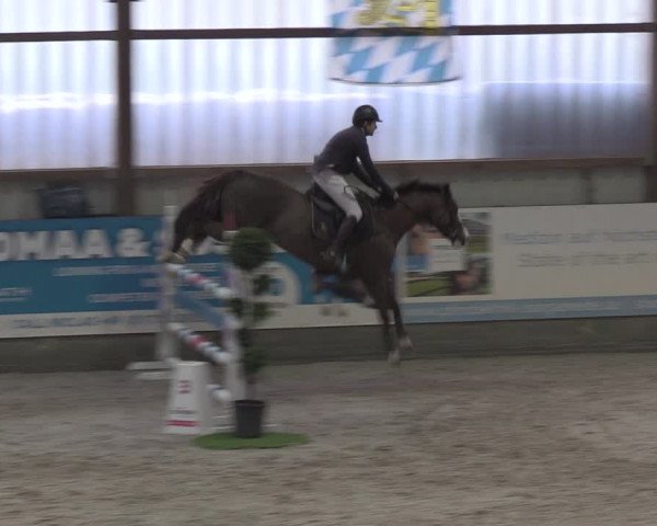 Nordic Jumping events 2019