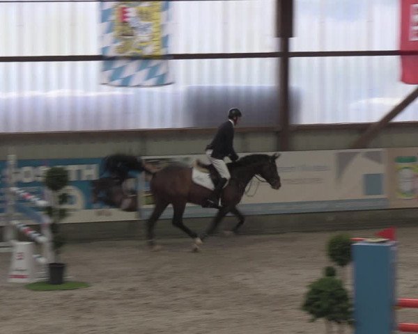 Nordic Jumping events 2019