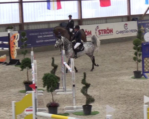 Nordic Jumping events 2019