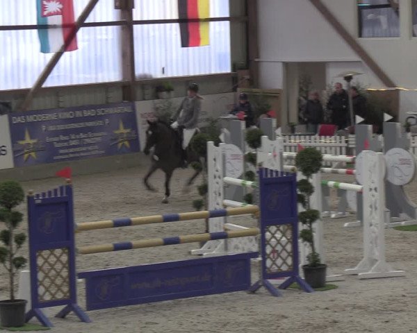 Nordic Jumping events 2019