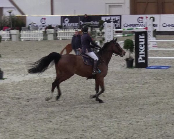 Nordic Jumping events 2019