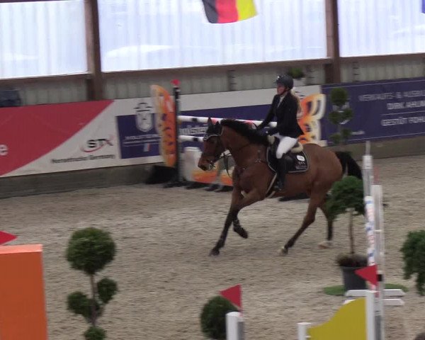 Nordic Jumping events 2019