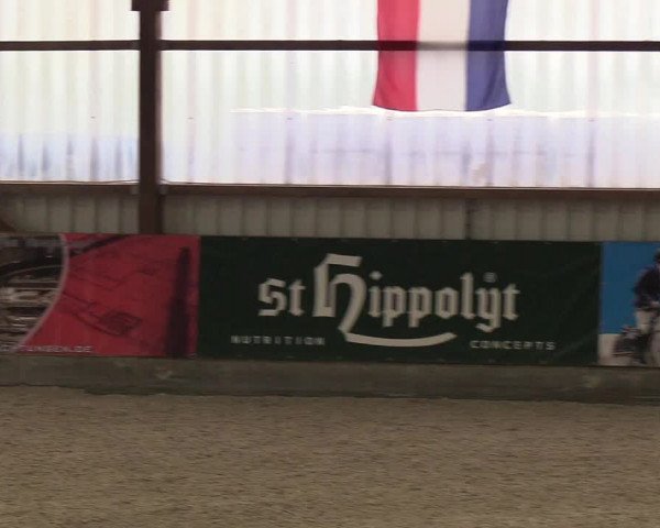 Nordic Jumping events 2019