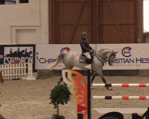Nordic Jumping events 2019