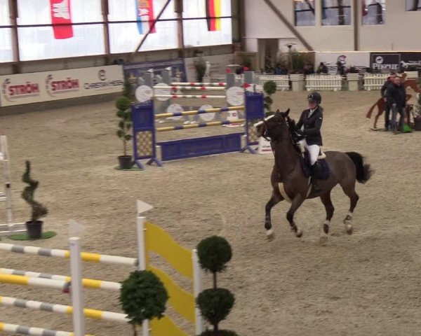 Nordic Jumping events 2019