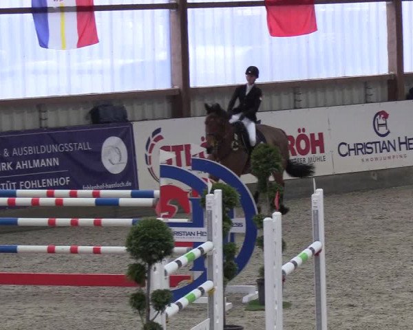 Nordic Jumping events 2019