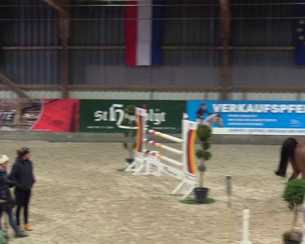 Nordic Jumping events 2019