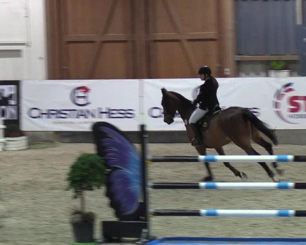 Nordic Jumping events 2019