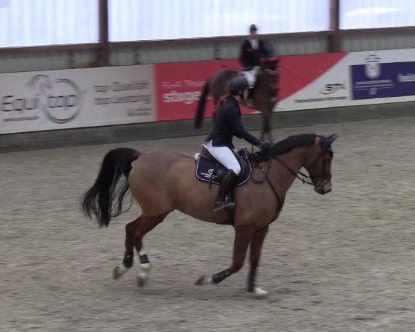 Nordic Jumping events 2019