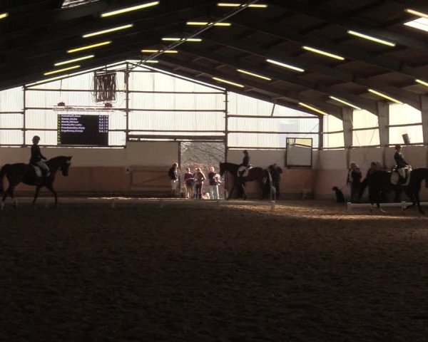 Reitturnier Datteln 2019