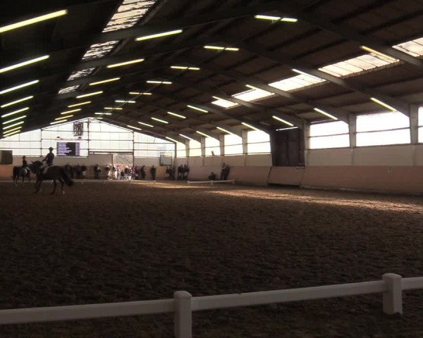 Reitturnier Datteln 2019