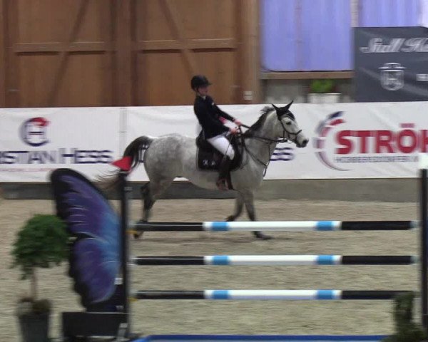 Nordic Jumping events 2019