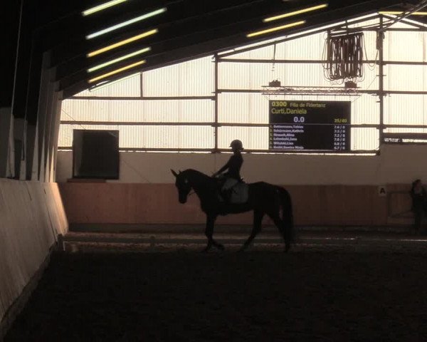 Reitturnier Datteln 2019