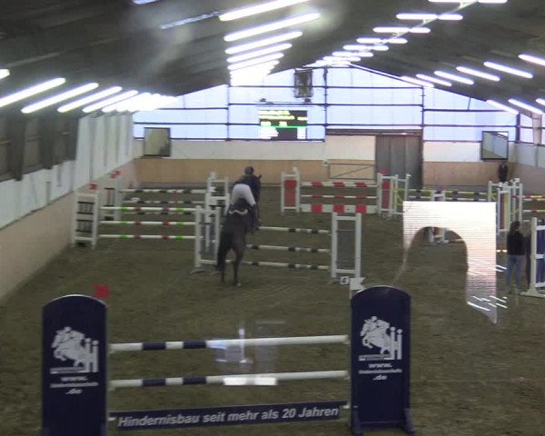 Reitturnier Datteln 2019