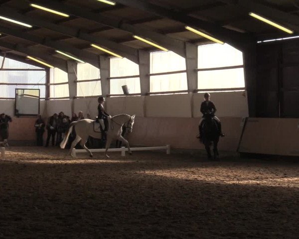 Reitturnier Datteln 2019
