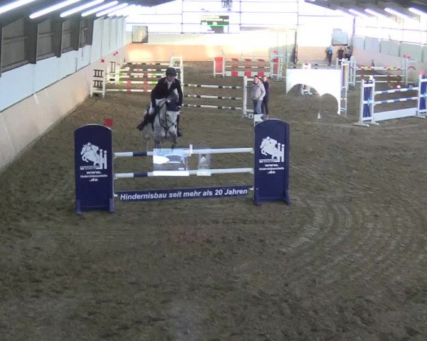 Reitturnier Datteln 2019