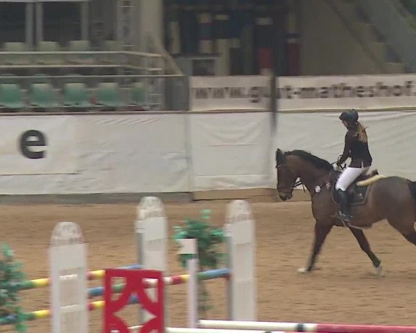 Reitturnier Kreuth/Opf. 2019