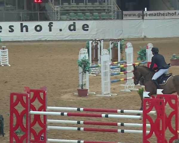 Reitturnier Kreuth/Opf. 2019