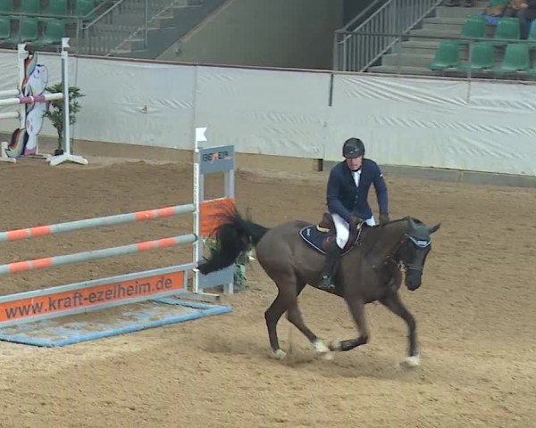 Reitturnier Kreuth/Opf. 2019