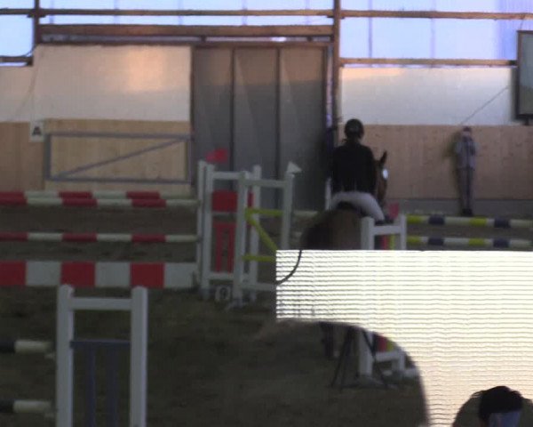 Reitturnier Datteln 2019
