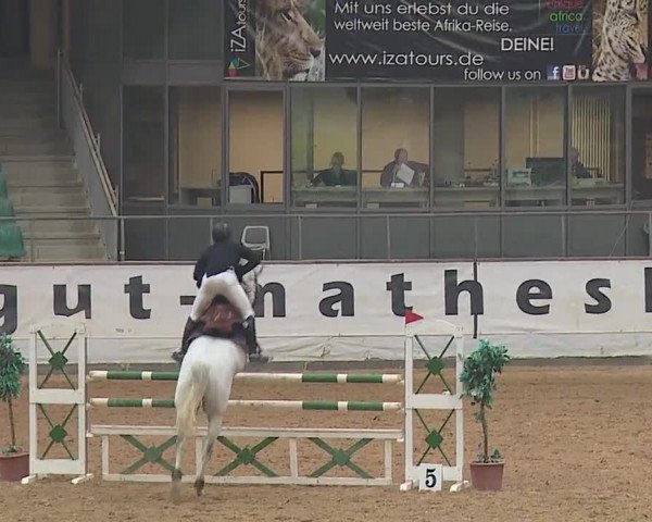Reitturnier Kreuth/Opf. 2019