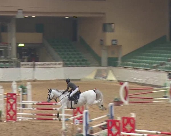 Reitturnier Kreuth/Opf. 2019