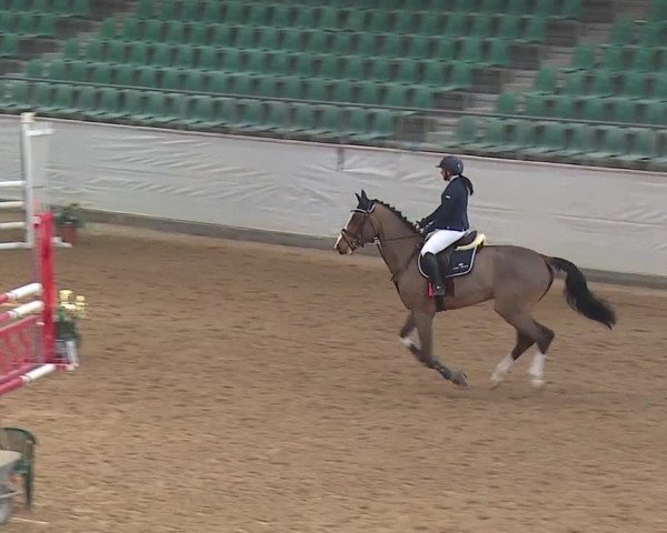 Reitturnier Kreuth/Opf. 2019