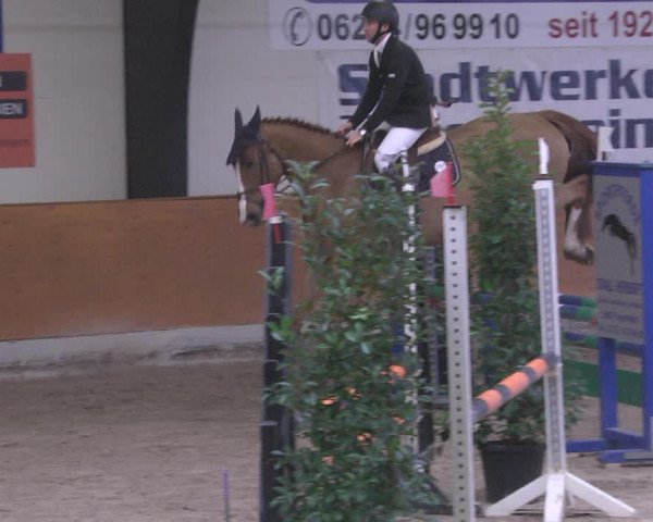 Reitturnier Viernheim 2019