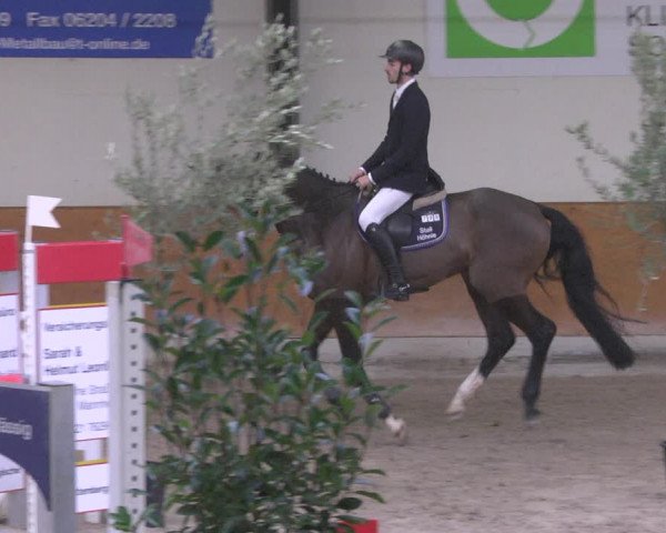 Reitturnier Viernheim 2019