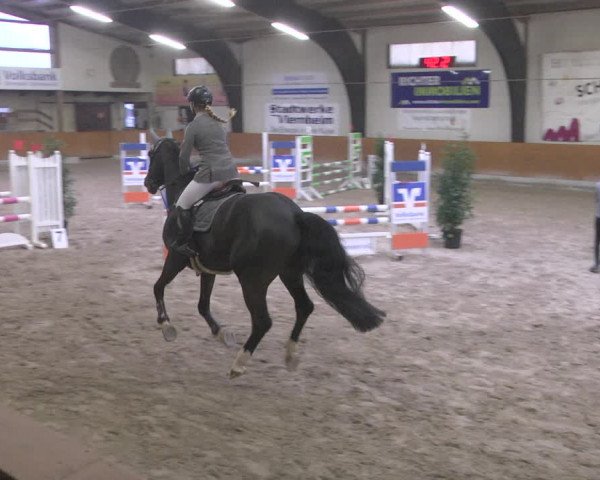 Reitturnier Viernheim 2019