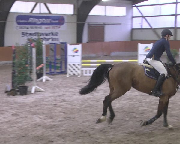 Reitturnier Viernheim 2019