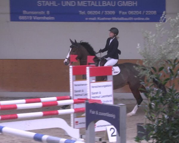 Reitturnier Viernheim 2019