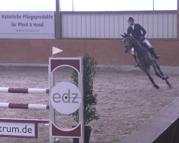 Reitturnier Viernheim 2019