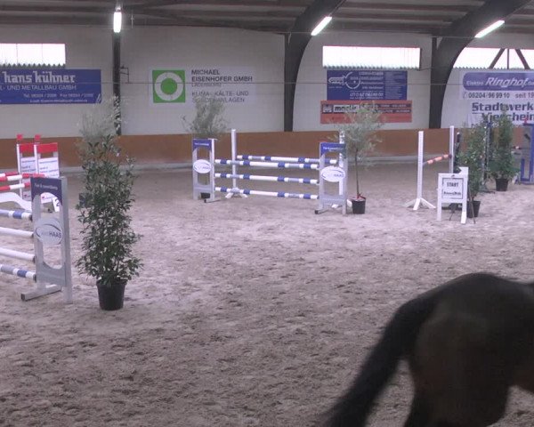 Reitturnier Viernheim 2019