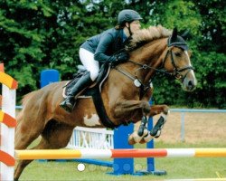 broodmare Rosi 383 (German Sport Horse, 2008, from Regent)