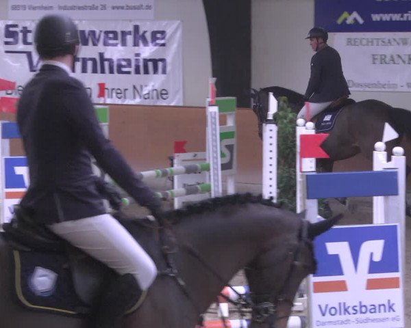 Reitturnier Viernheim 2019