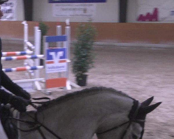 Reitturnier Viernheim 2019