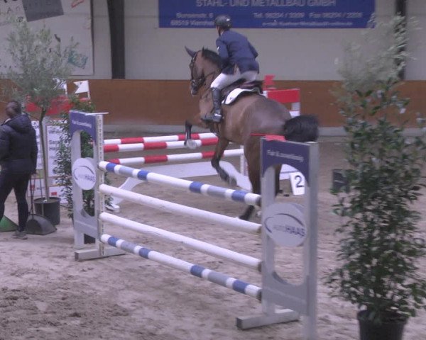 Reitturnier Viernheim 2019
