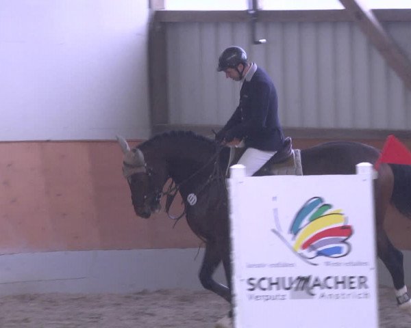 Reitturnier Viernheim 2019