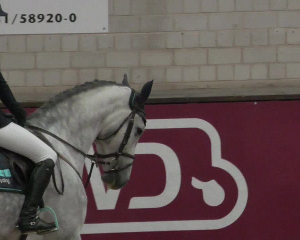 Reitturnier Heilbronn 2021