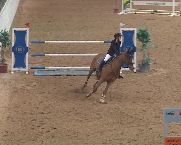 Reitturnier Kreuth/Opf. 2019